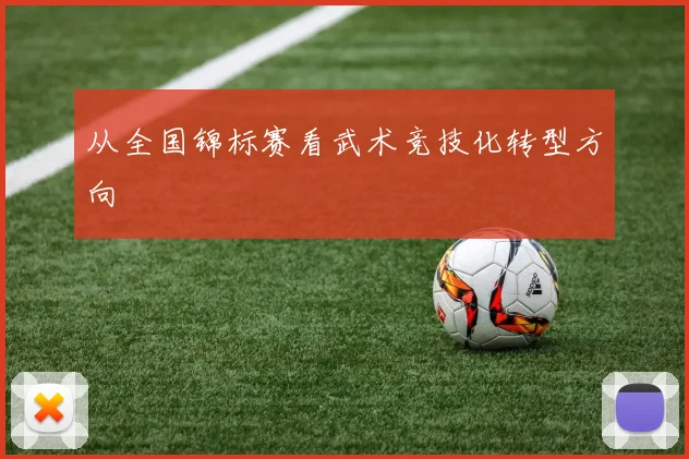 从全国锦标赛看武术竞技化转型方向