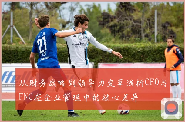 从财务战略到领导力变革浅析CFO与FNC在企业管理中的核心差异