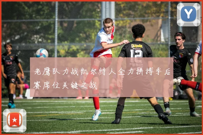 老鹰队力战凯尔特人全力拼搏季后赛席位关键之战