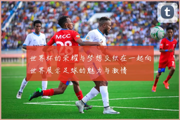 世界杯的荣耀与梦想交织在一起向世界展示足球的魅力与激情