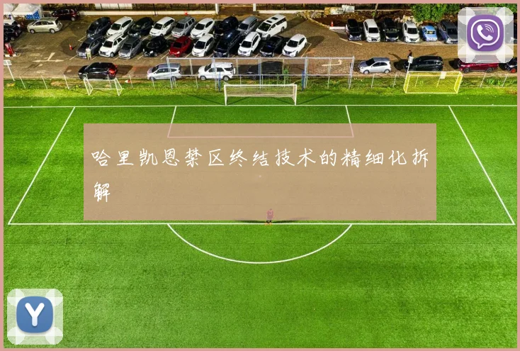 哈里凯恩禁区终结技术的精细化拆解