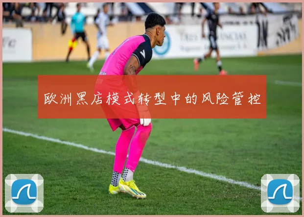 欧洲黑店模式转型中的风险管控