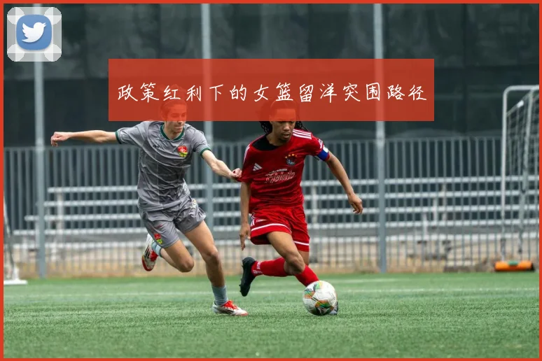政策红利下的女篮留洋突围路径