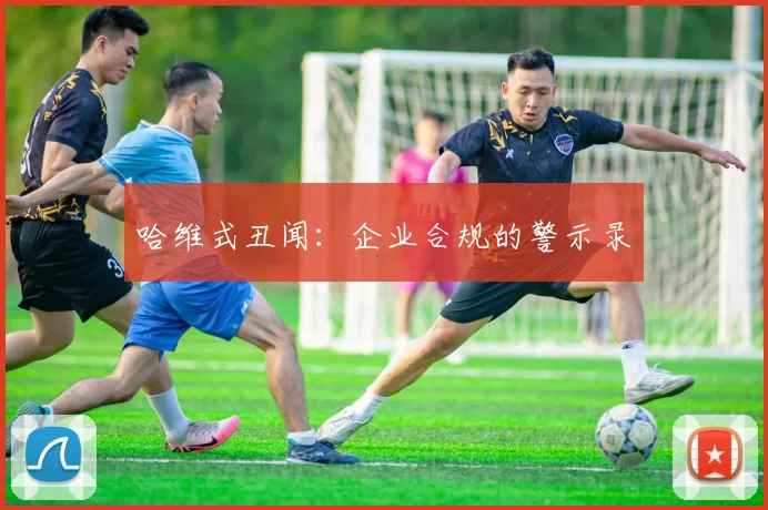 哈维式丑闻：企业合规的警示录