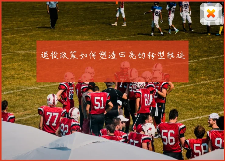 退役政策如何塑造田亮的转型轨迹